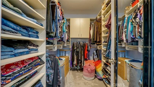 walk in closet with light carpet