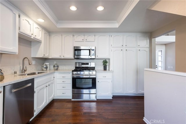 kitchen featuring dark wood-type flooring, sink, white cabinetry, appliances with stainless steel finishes, and a tray ceiling