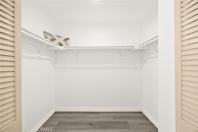 spacious closet with dark hardwood / wood-style floors