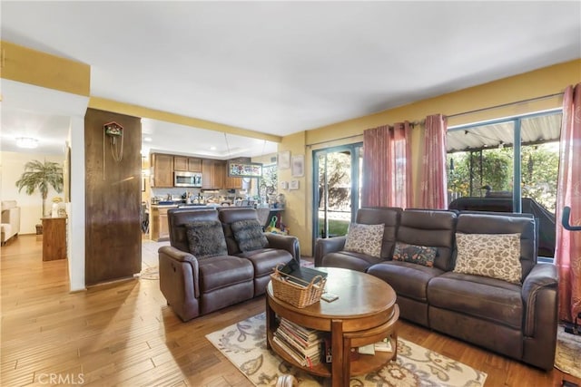 living room featuring light wood-type flooring and a raised ceiling