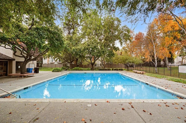 view of swimming pool featuring a patio