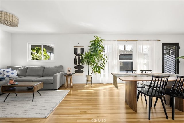 living room featuring light hardwood / wood-style floors and a healthy amount of sunlight