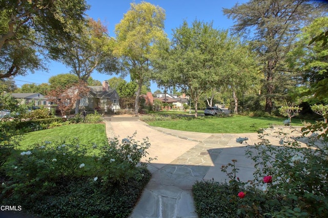 view of yard with a patio area