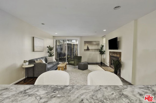 living room featuring a fireplace and hardwood / wood-style flooring