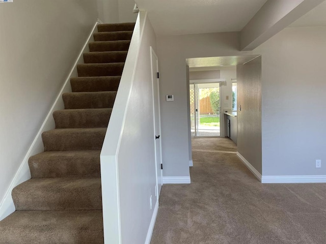 stairs featuring carpet floors