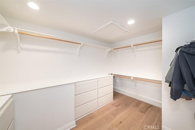 spacious closet featuring light wood-type flooring