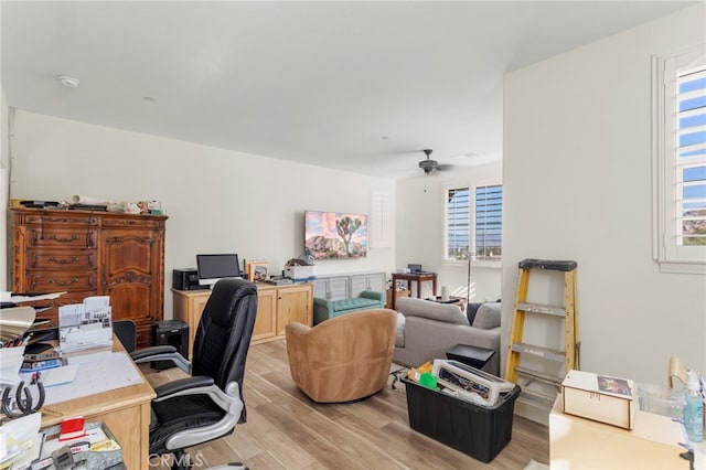 office space with ceiling fan and light wood-type flooring