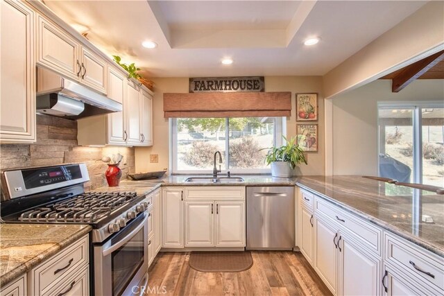 kitchen featuring appliances with stainless steel finishes, a tray ceiling, light wood-type flooring, light stone countertops, and sink