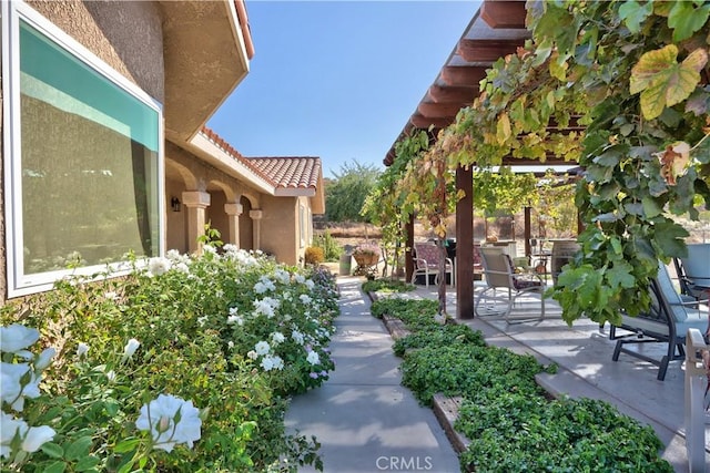 view of home's community featuring a patio area