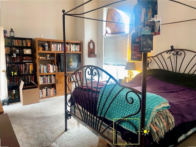 view of carpeted bedroom