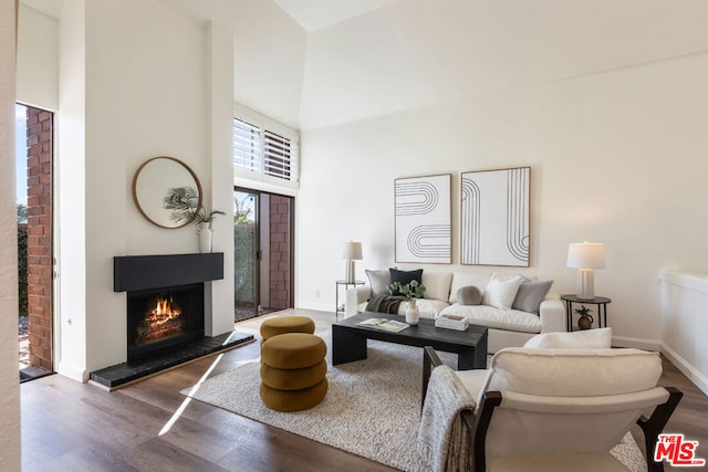 living room featuring wood-type flooring and a towering ceiling