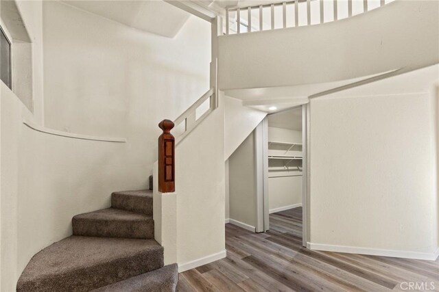 staircase featuring hardwood / wood-style floors