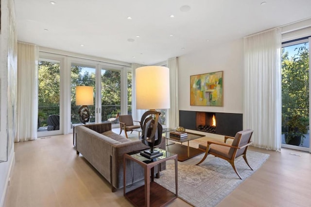 living room featuring expansive windows and light hardwood / wood-style floors