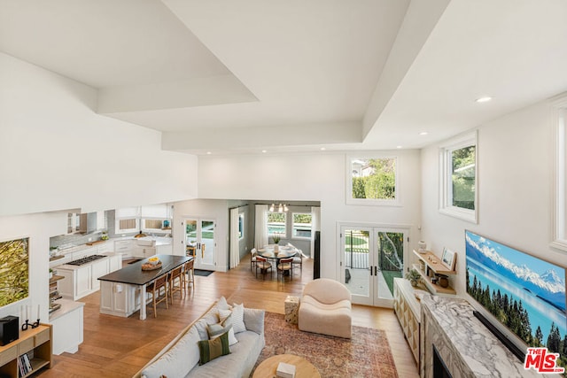 living room with french doors, a tray ceiling, and light hardwood / wood-style floors