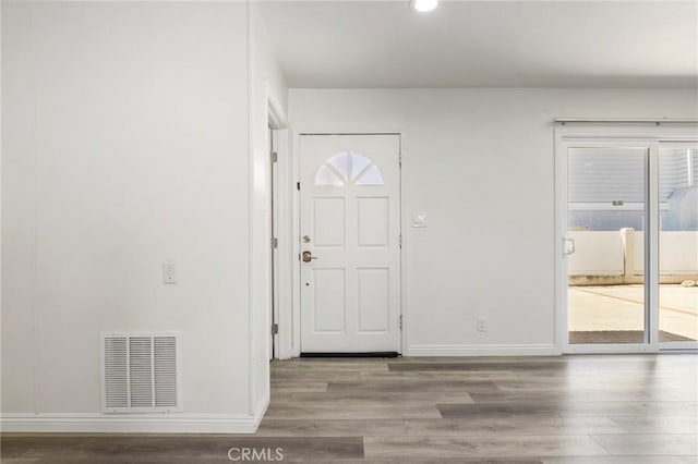 foyer entrance with wood-type flooring