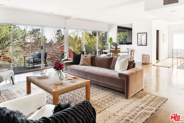 interior space with light hardwood / wood-style flooring and plenty of natural light