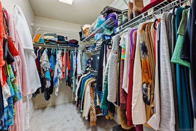 walk in closet featuring carpet flooring