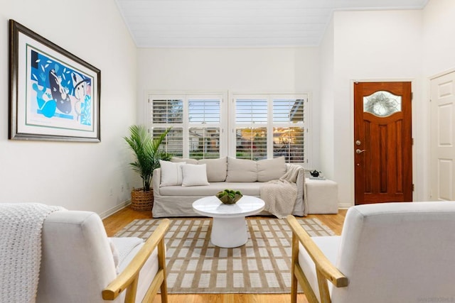 living room featuring wood-type flooring