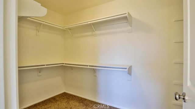 spacious closet featuring carpet floors