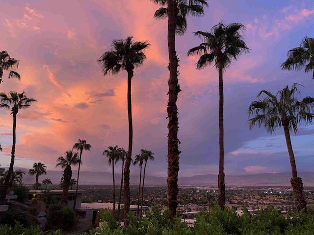 view of nature at dusk