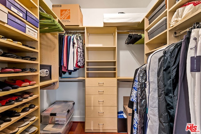 spacious closet featuring dark wood-type flooring