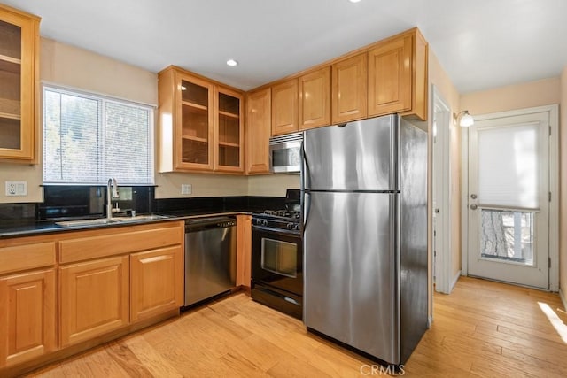 kitchen featuring light hardwood / wood-style floors, sink, and appliances with stainless steel finishes