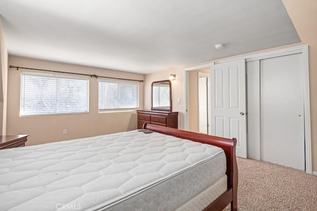 bedroom featuring carpet and a closet