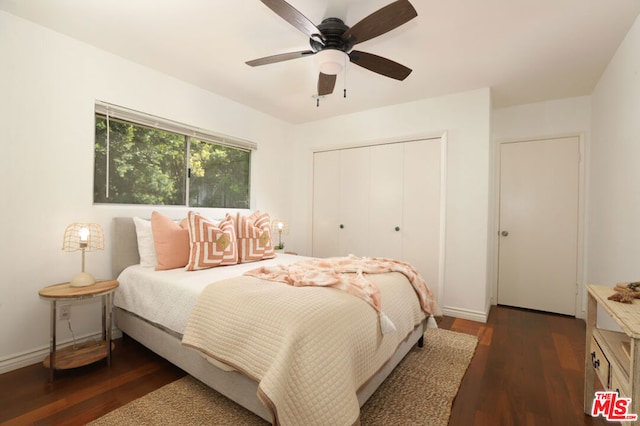 bedroom with ceiling fan, a closet, and dark hardwood / wood-style floors