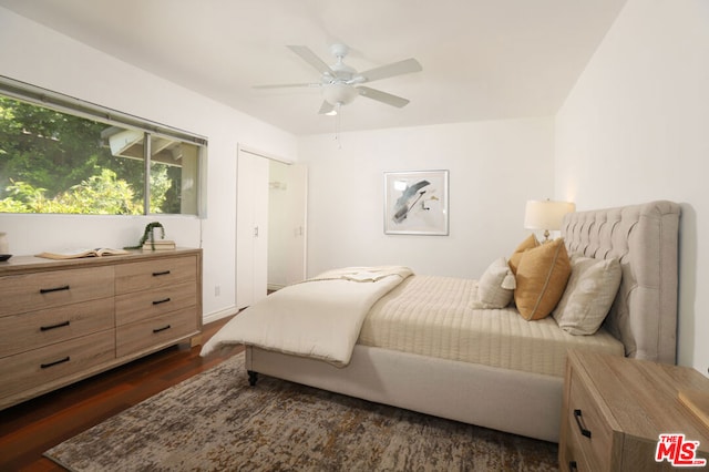 bedroom featuring ceiling fan and dark wood-type flooring