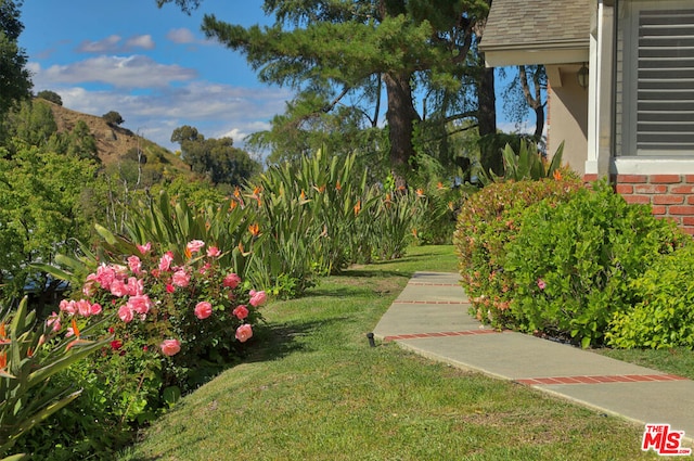 view of yard with a mountain view