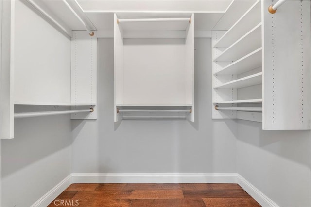 spacious closet featuring hardwood / wood-style floors