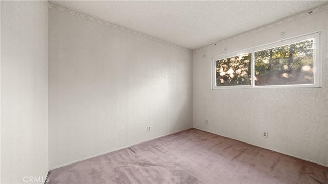 carpeted spare room featuring a textured ceiling