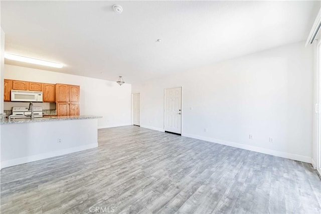 unfurnished living room featuring light hardwood / wood-style floors