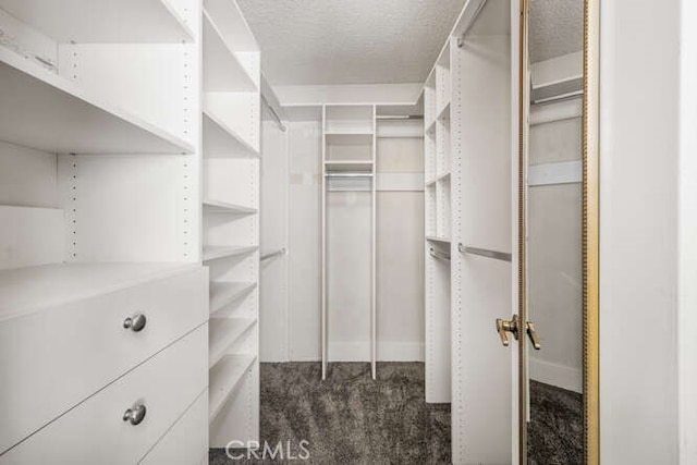 spacious closet with dark colored carpet