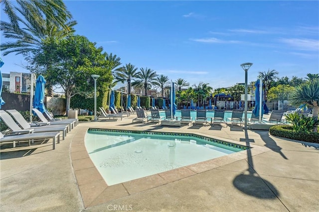 view of pool featuring a patio