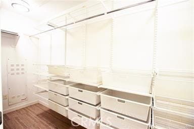 spacious closet featuring dark wood-type flooring