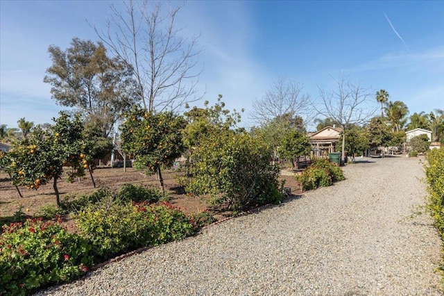 view of street featuring driveway