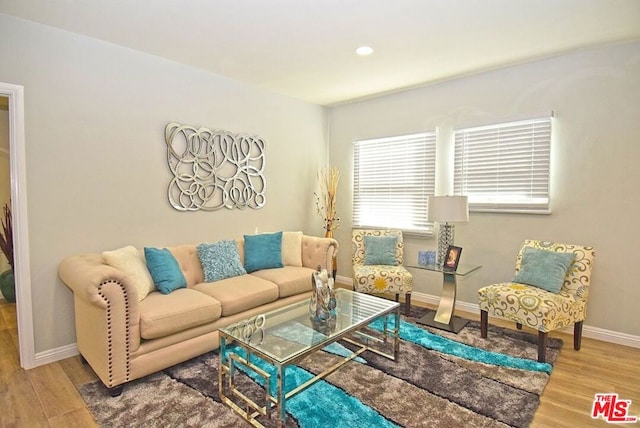 living room with hardwood / wood-style flooring