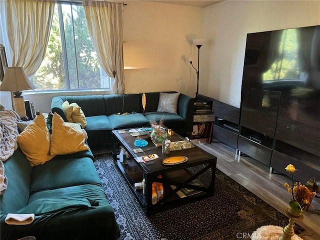 living room with hardwood / wood-style flooring and plenty of natural light