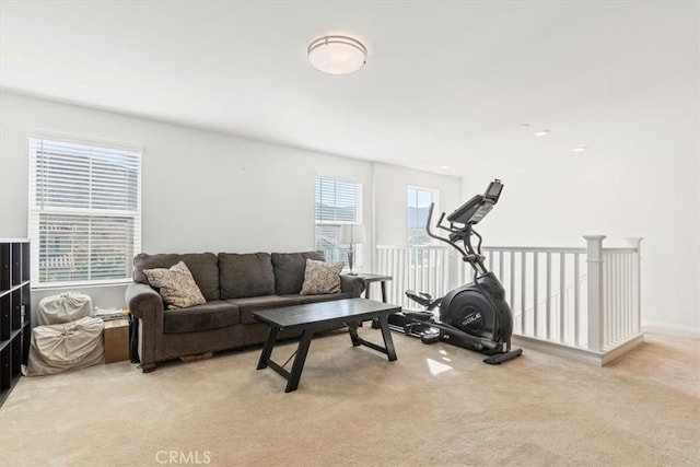 exercise area with light colored carpet