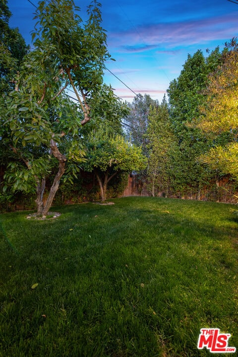 view of yard at dusk