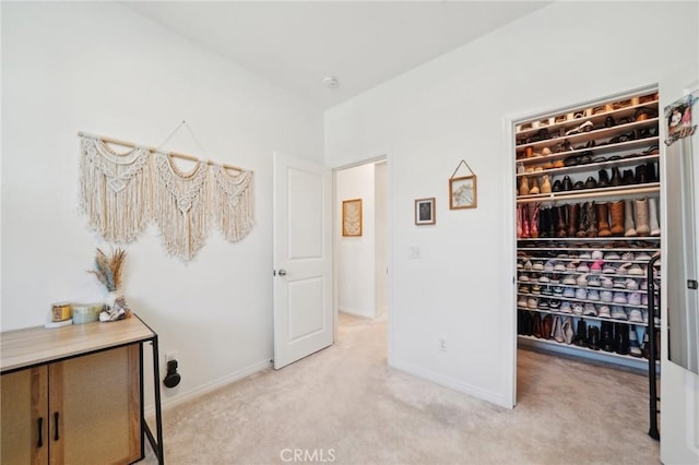 interior space with light colored carpet