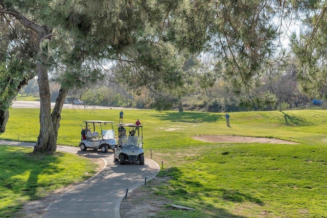 view of community featuring a lawn