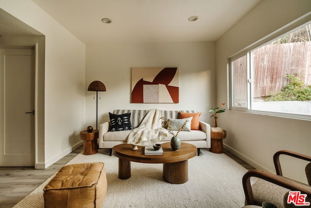 living room with light hardwood / wood-style flooring