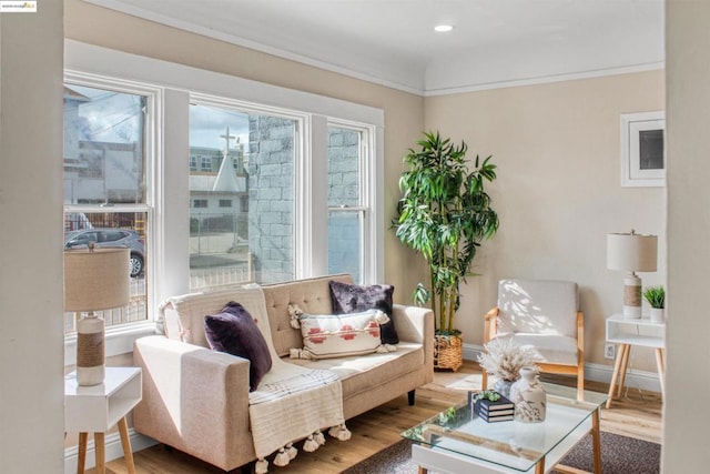 living area featuring hardwood / wood-style flooring