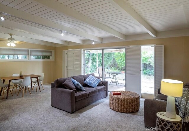 carpeted living room with plenty of natural light, lofted ceiling with beams, and ceiling fan