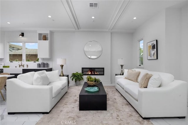 living room featuring sink