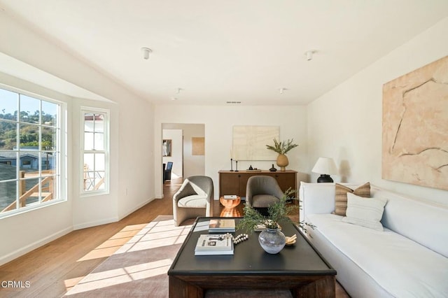 living room featuring light wood-type flooring