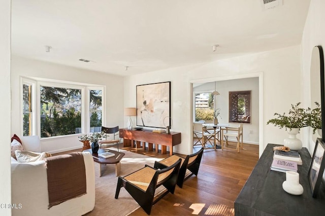 living room featuring hardwood / wood-style floors