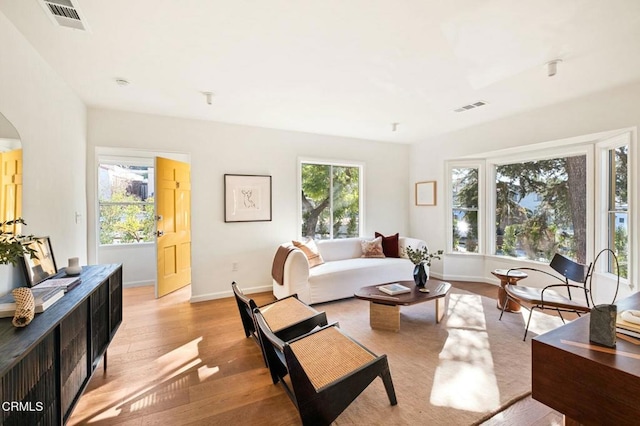 living room featuring light hardwood / wood-style floors